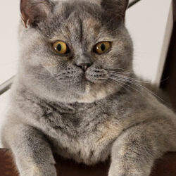 brigitte-gallery2